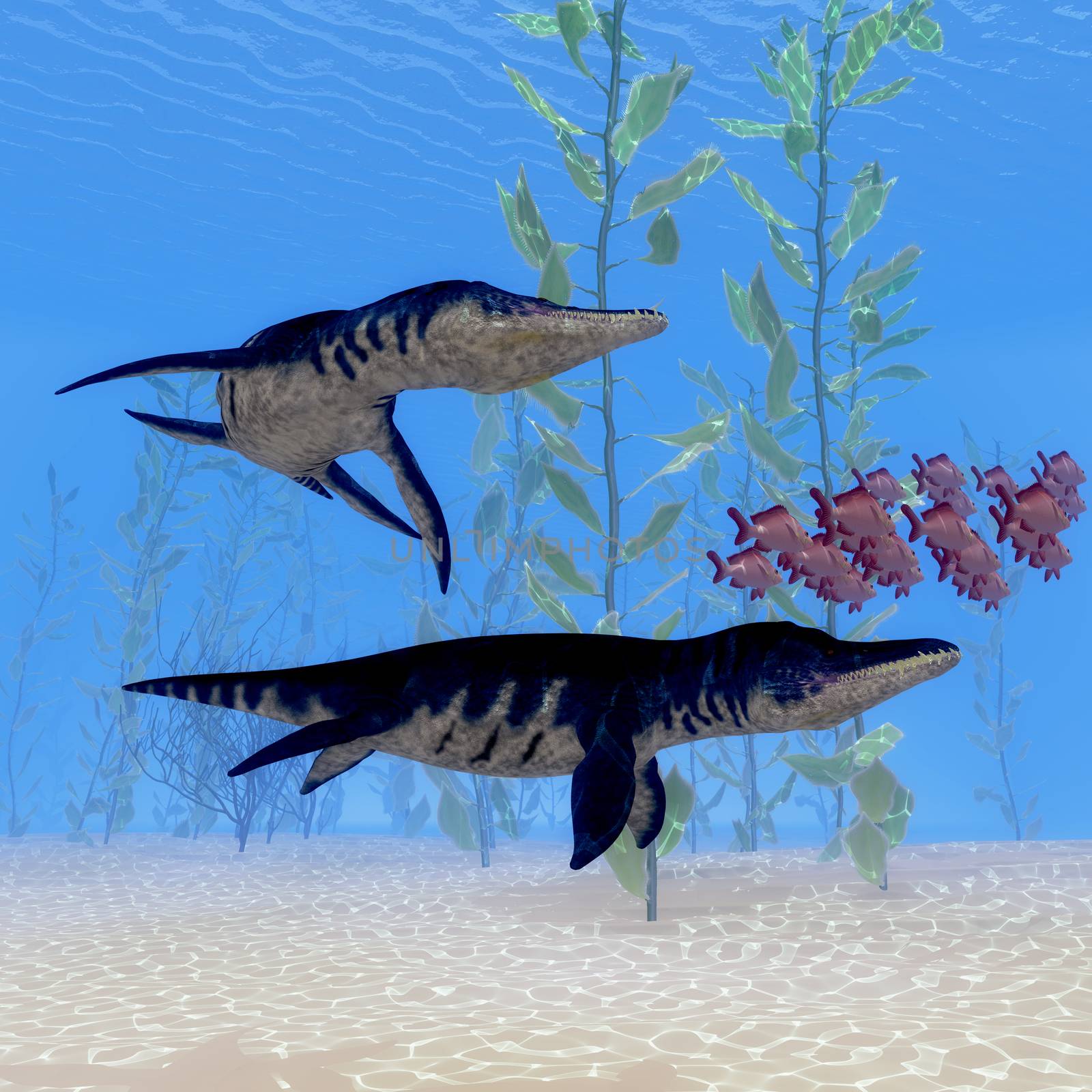 Two Liopleurodon marine reptiles chase after a school of Red Snapper fish in Jurassic Seas.