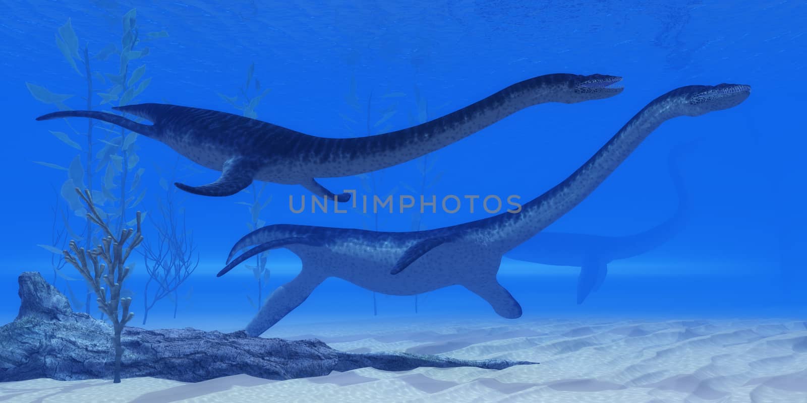 Plesiosaurus Jurassic Reptiles by Catmando
