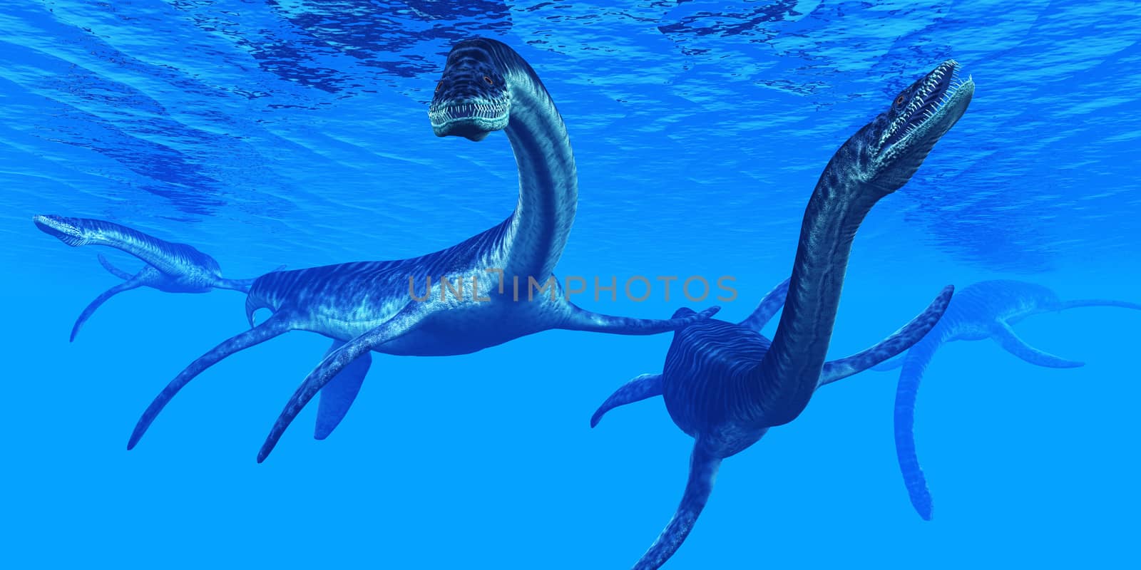 Plesiosaurus Marine Reptiles by Catmando