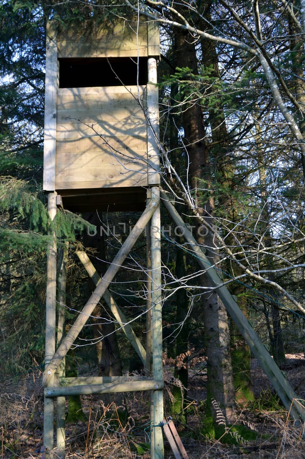 Mirador of wooden hunting under trees in forest