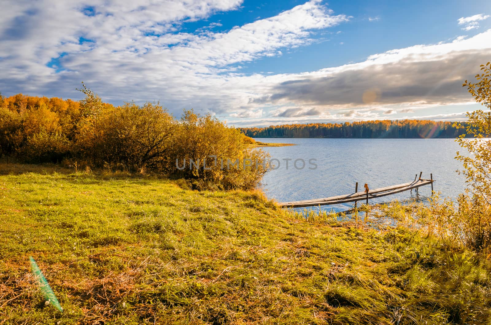 Golden autumn in the month of October in a beautiful forest