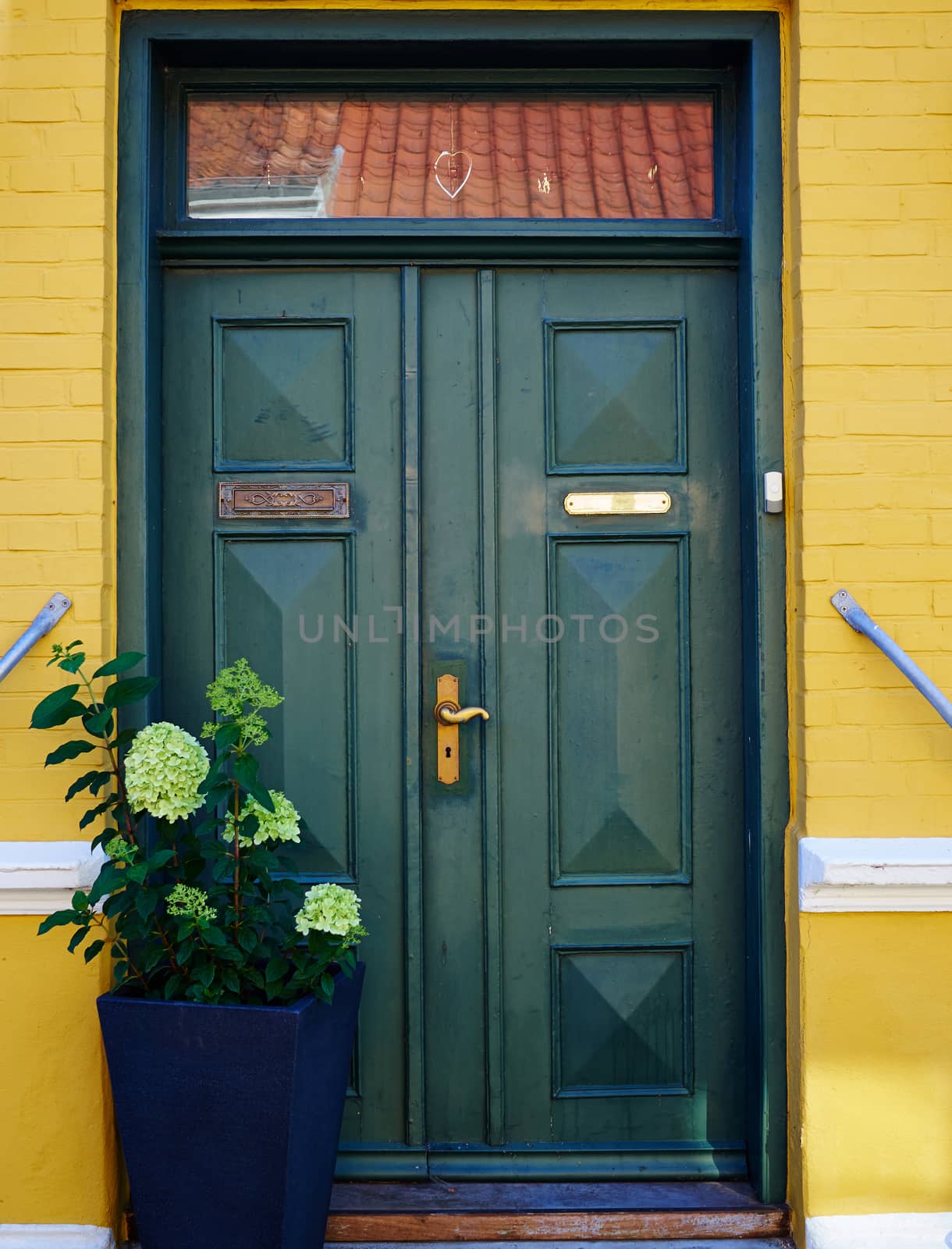 Traditional colorful craft vintage wooden green front door Denmark