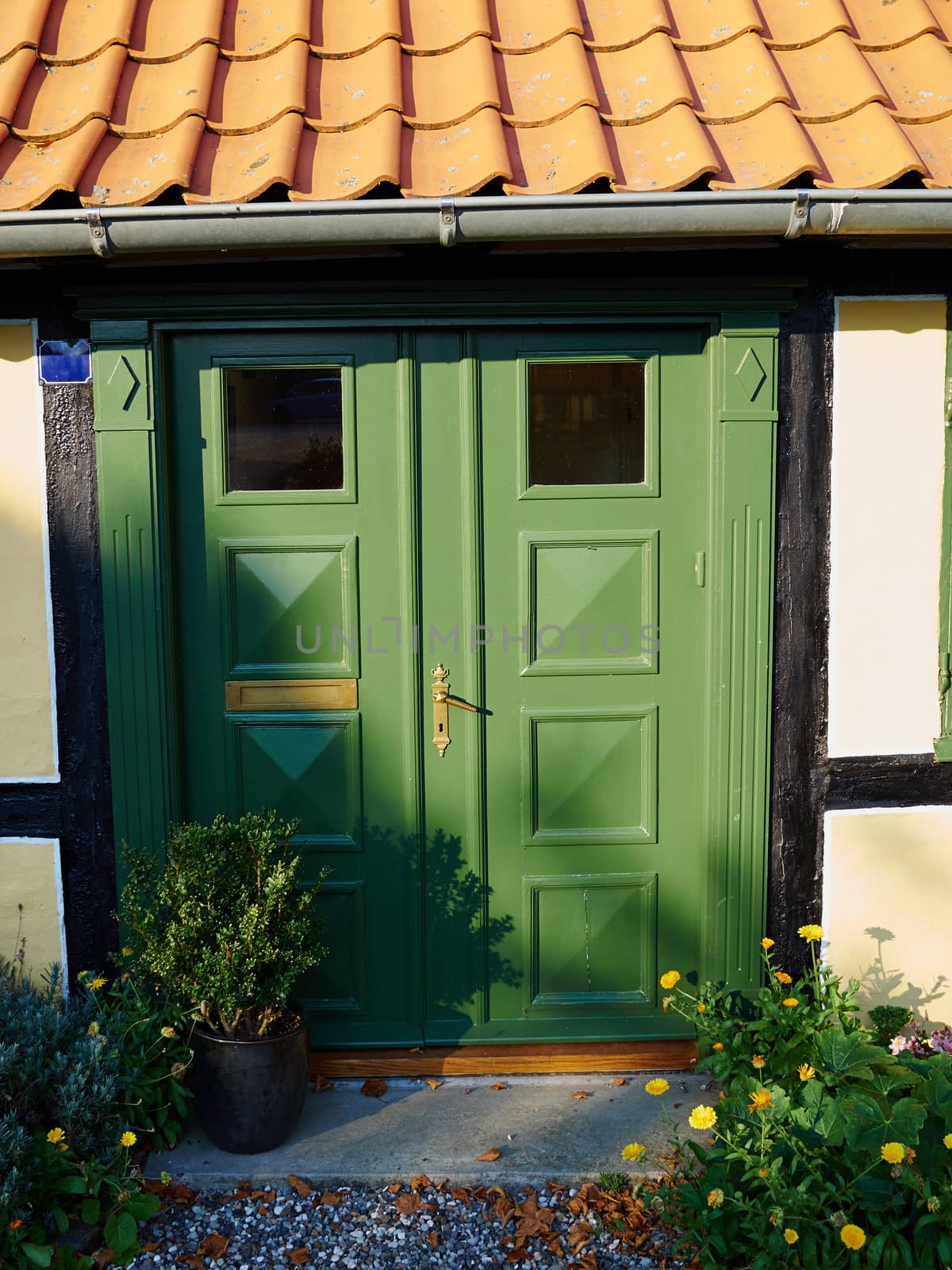 Traditional colorful craft vintage wooden green front door Denmark