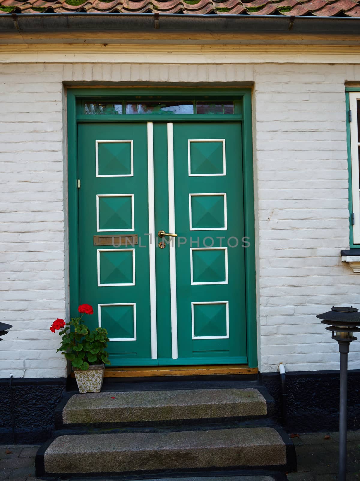 Traditional colorful craft vintage wooden green white front door Denmark