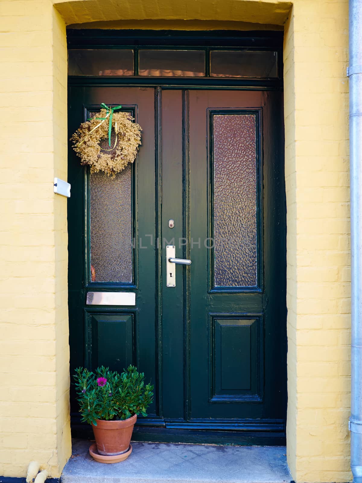 Traditional colorful craft vintage wooden green front door Denmark