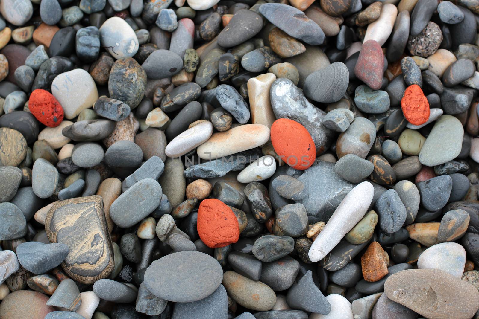 red stones on a pebble beach background