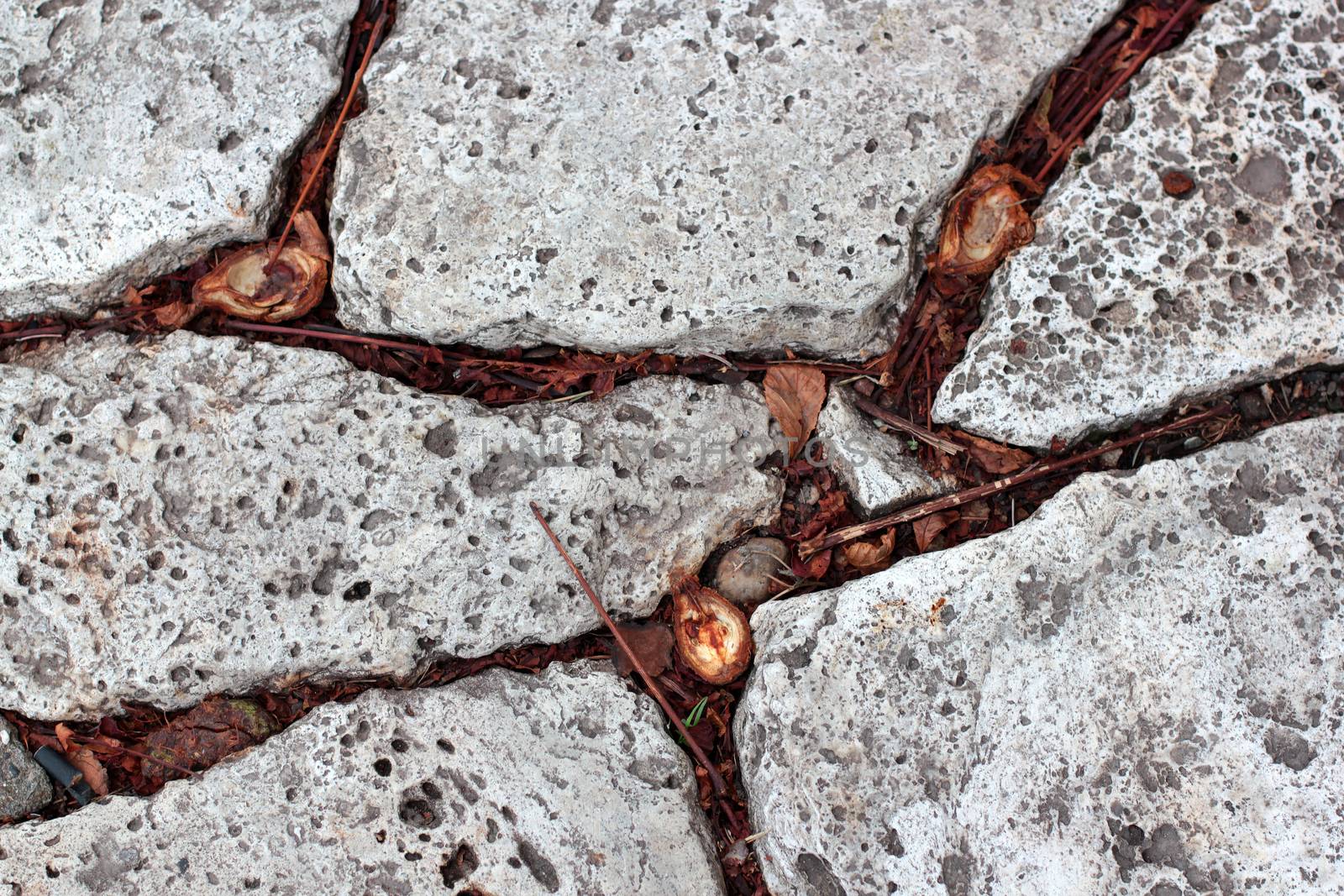 autumn leaves and chestnuts in the stones