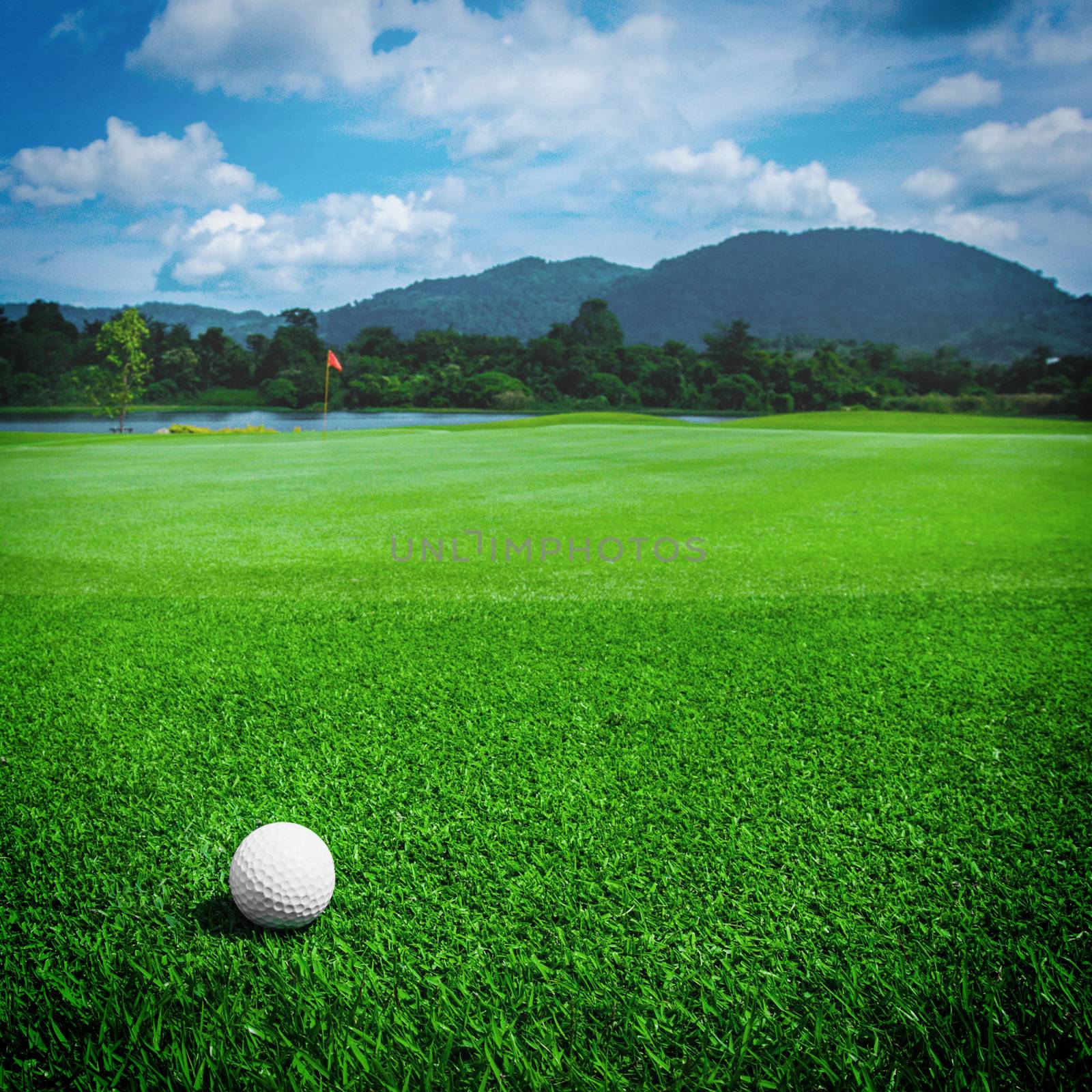 Golfball on grass of golf course at sunny day