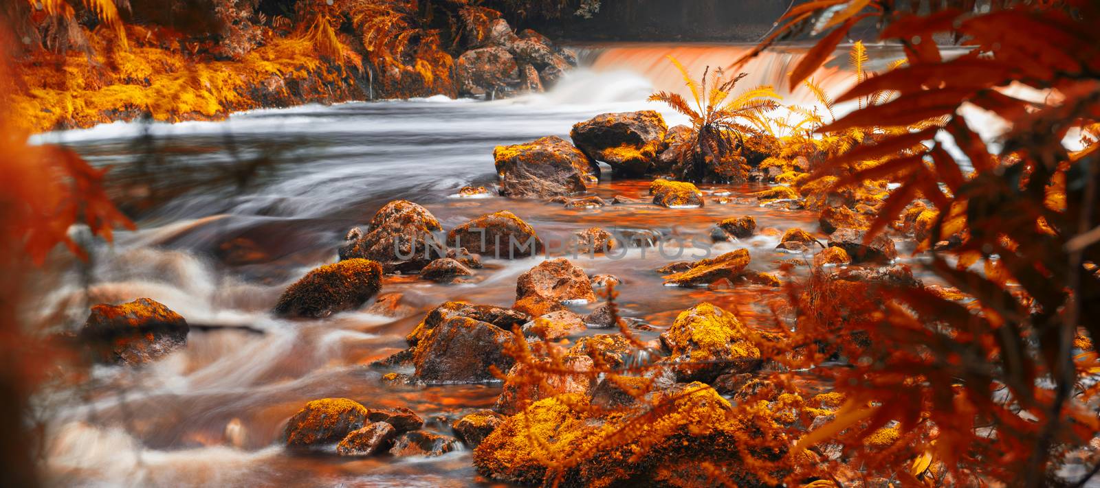 Newell creek in Tasmania, Australia is a magnificent fast running stream. Abstract landscape with red hues added.