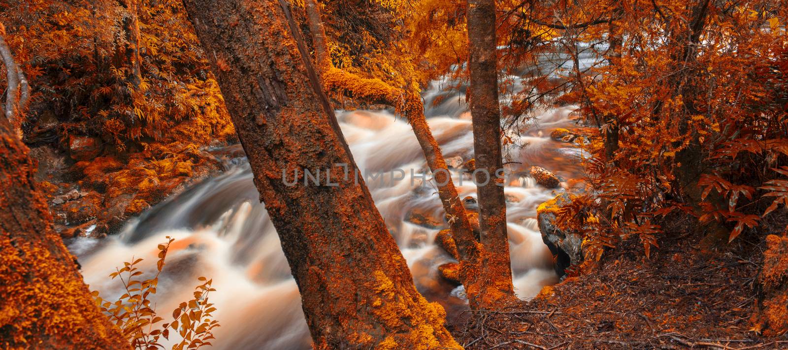 Newell creek in Tasmania, Australia is a magnificent fast running stream. Abstract landscape with red hues added.