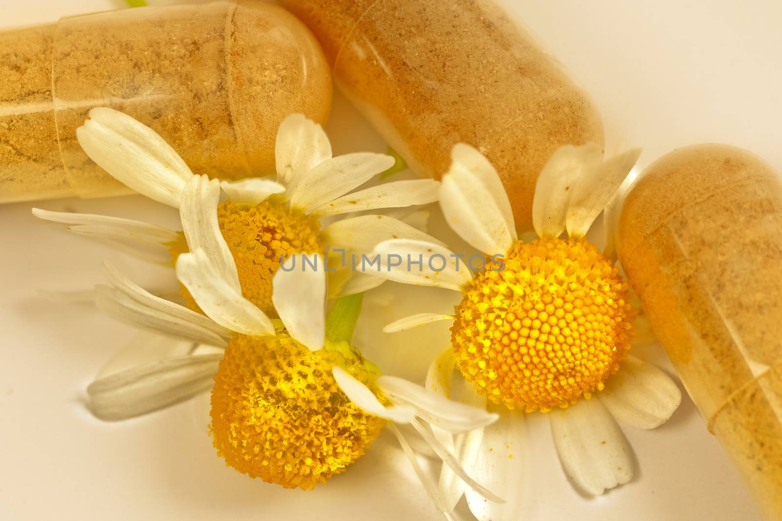 Chamomile flowers on wooden planks by mmproduct