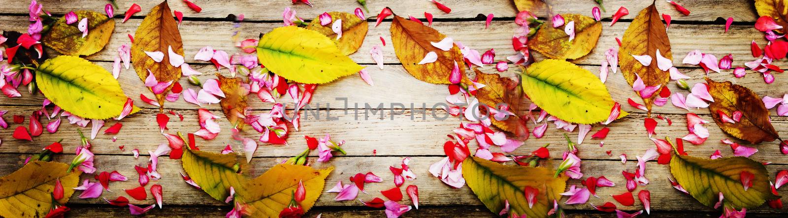 Autumnal composition of colorful flowers and yellow leaves