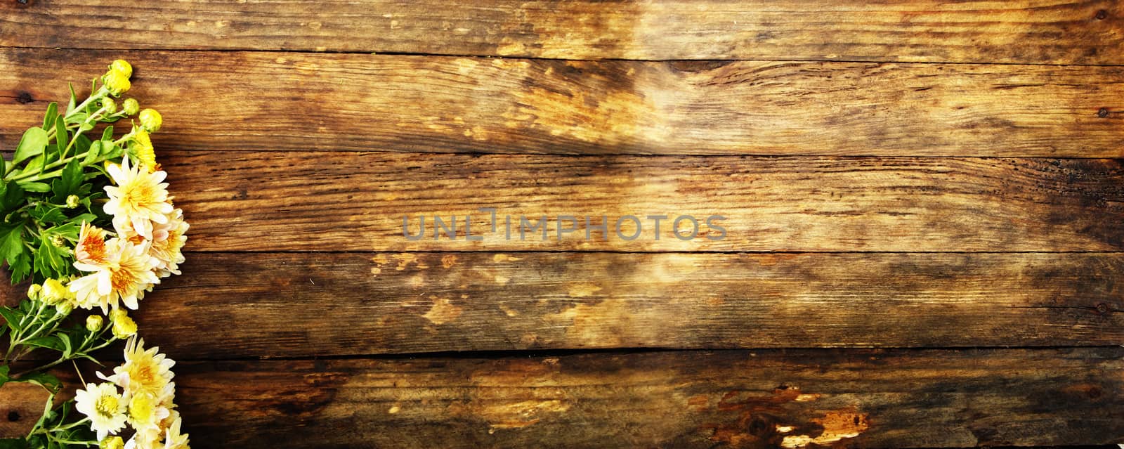 Wooden texture. On top of autumn flowers on her flowers