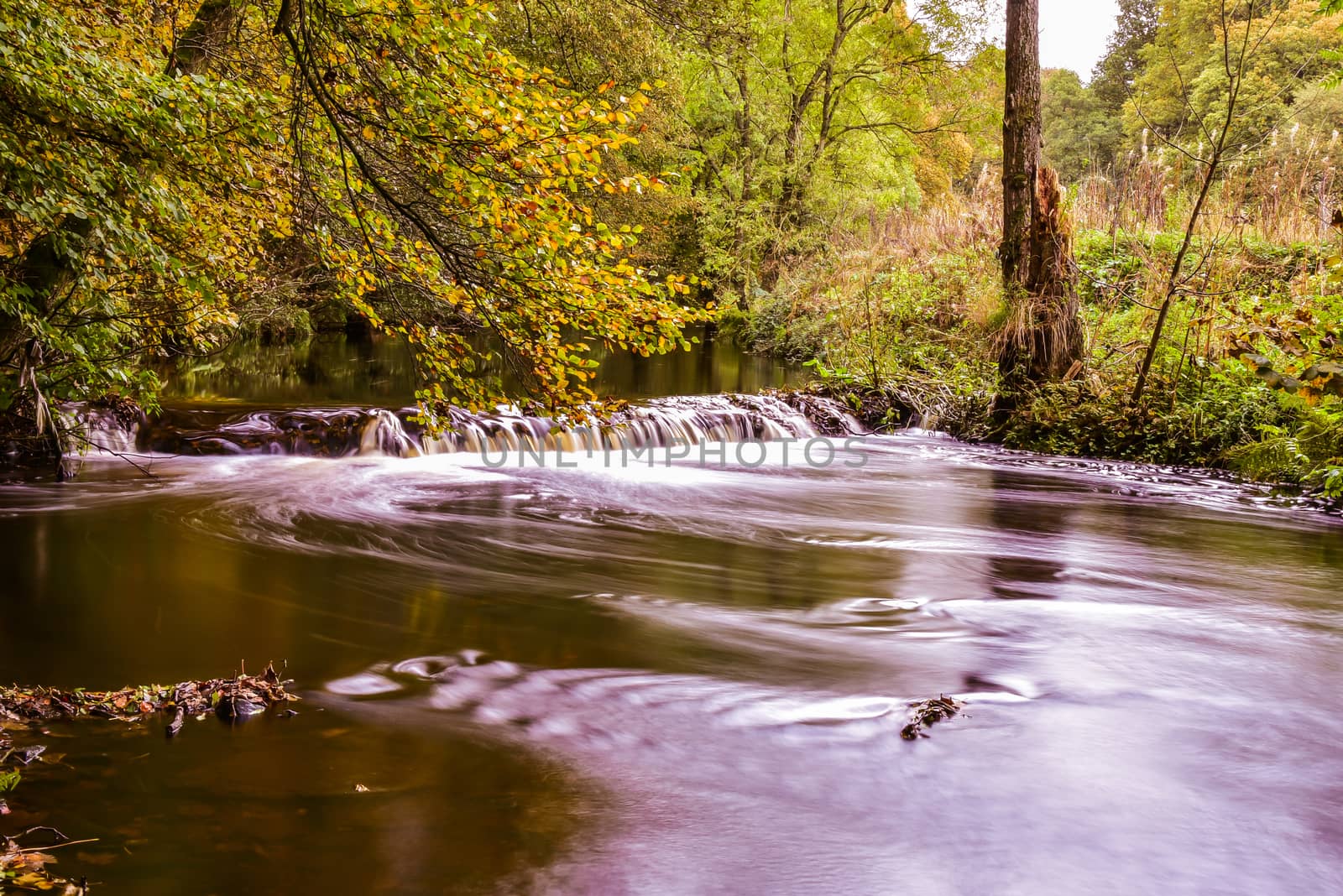 Mini waterfall in a forest in autumn on river Don In England