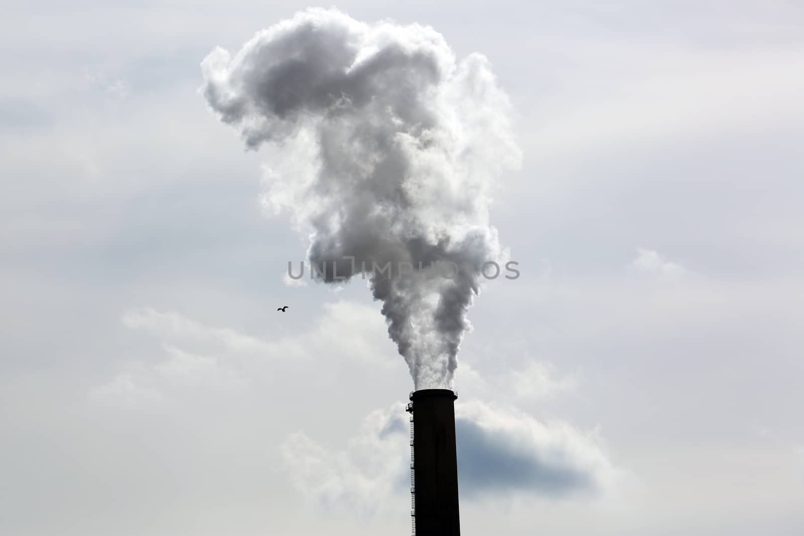 Smoke Emitting From Factory Smoke Stack