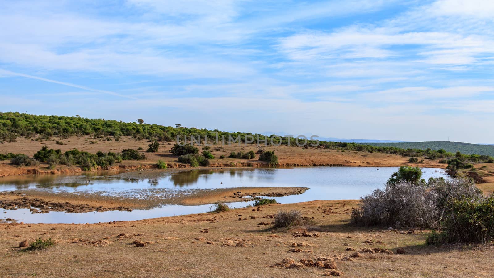 Tiny body of water with cloudy blue skies in Addo South Africa