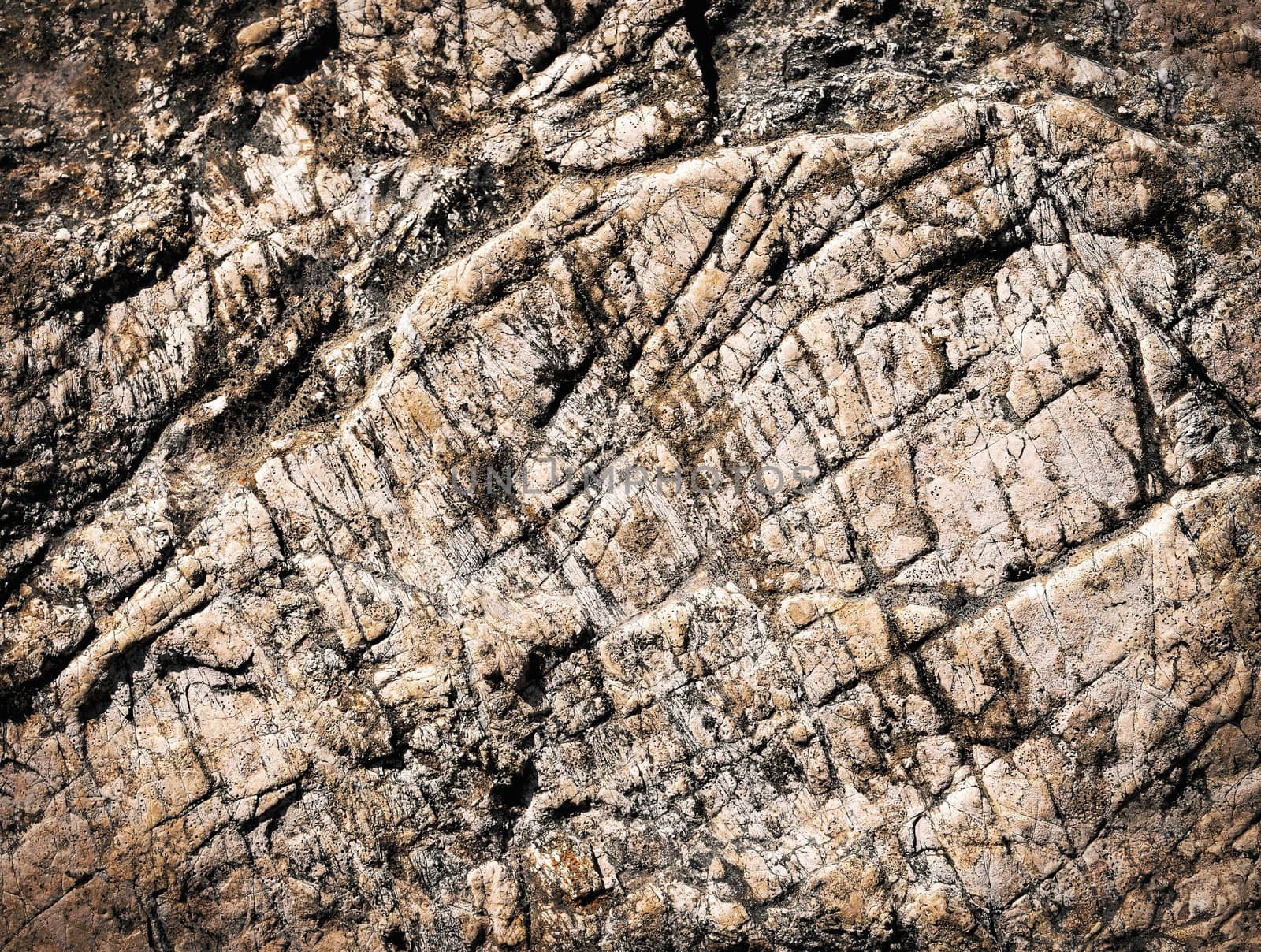 abstract background or texture with brownish limestone grooves
