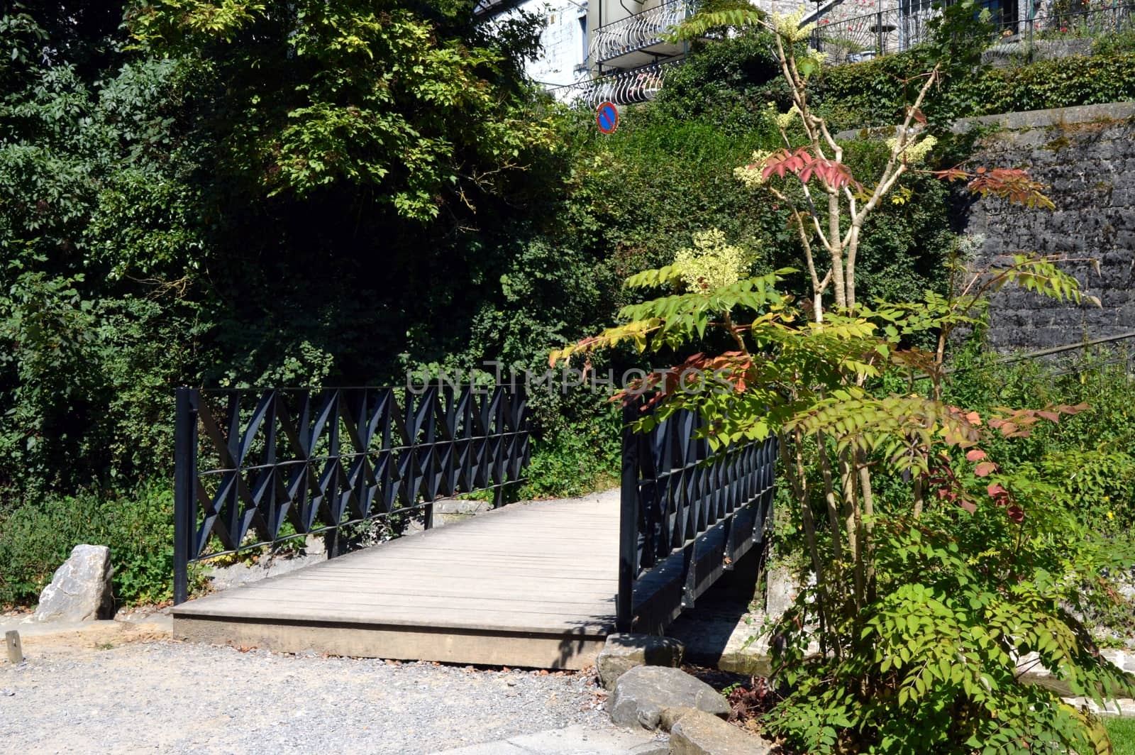 Small iron bridge to surround with ferns and with trees.