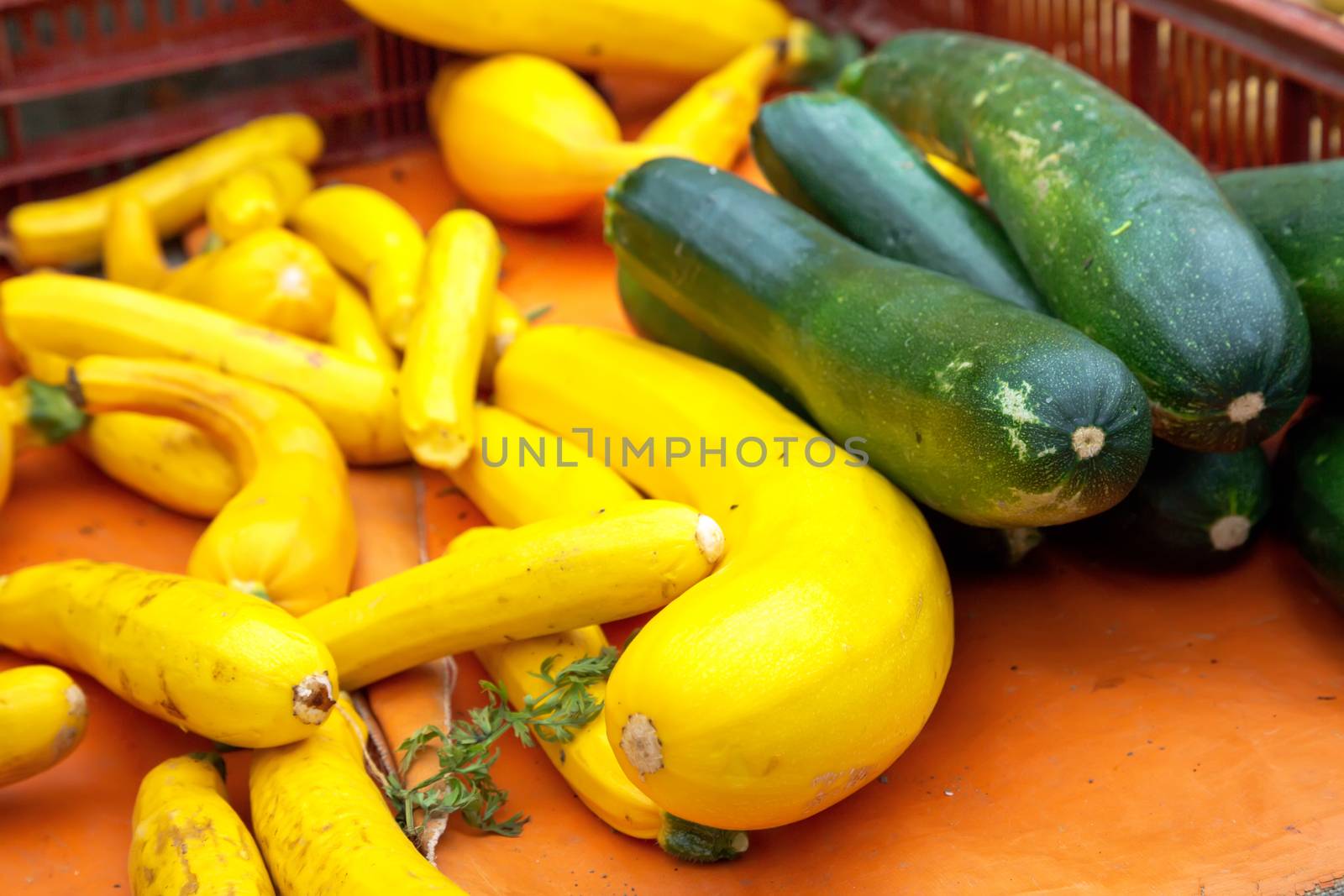 Fresh green and yellow zucchini by pixinoo