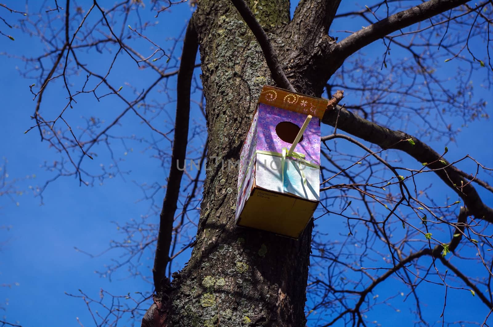 Colourful, pink patterned wooden birdhouses on a tree. by evolutionnow