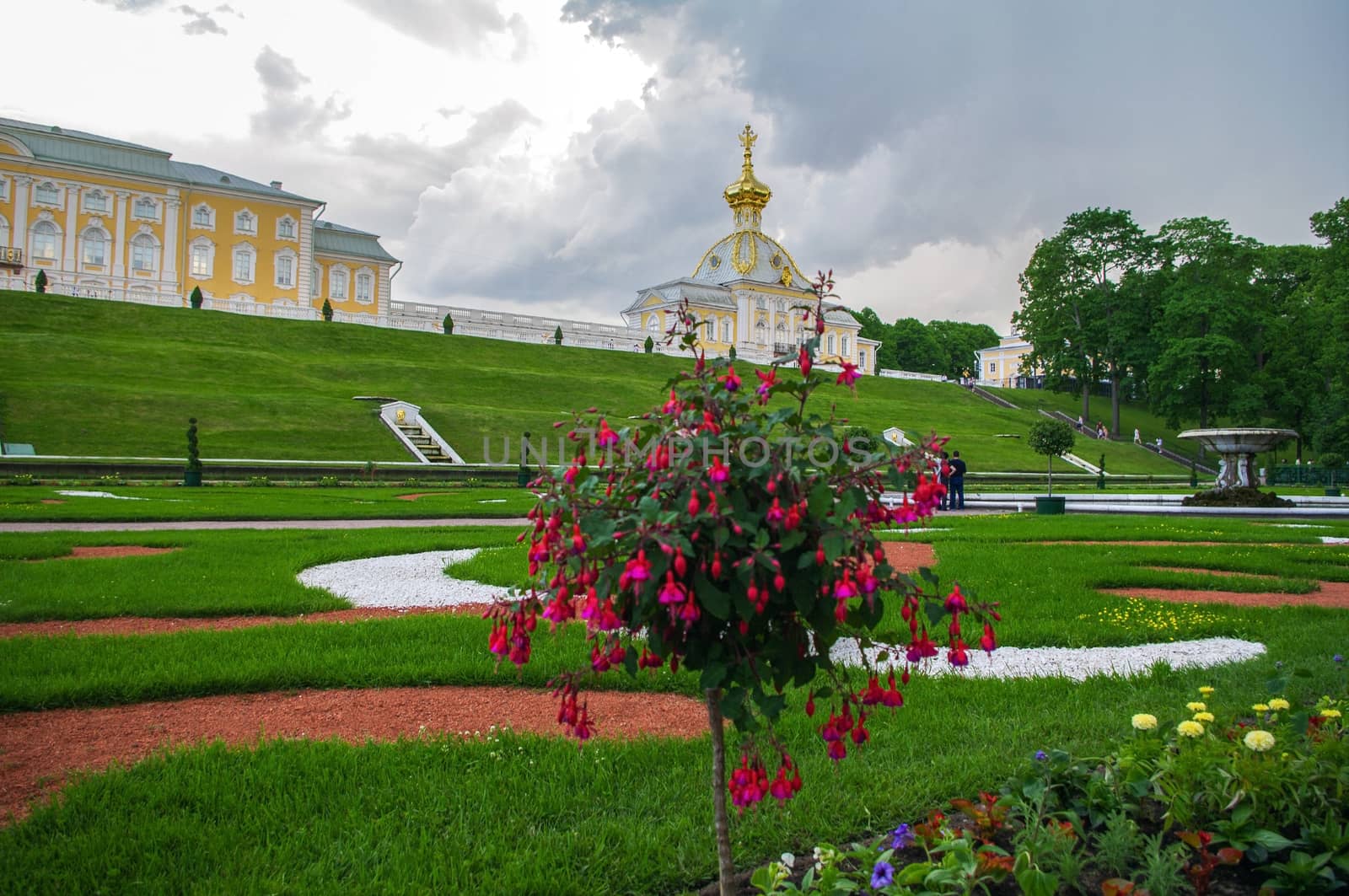 PETERHOF, SAINT PETERSBURG, RUSSIA - JUNE 06, 2014: the Upper Park palace was included in the UNESCO World Heritage List by evolutionnow