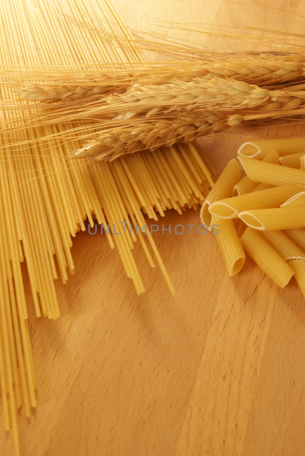 Wheat Pasta Noodles by AlphaBaby