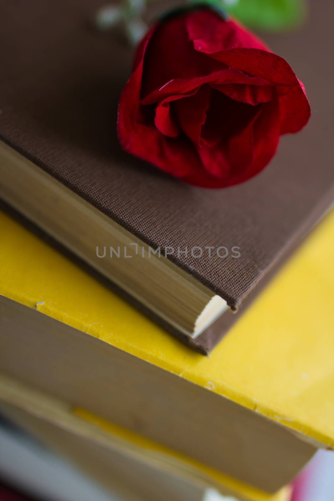 Closeup of stacked old books and textbook by maggee