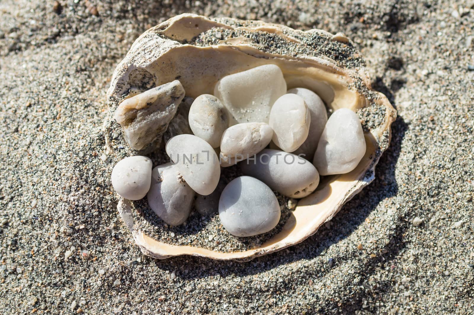 Pebbles in the shell on the sand by okskukuruza