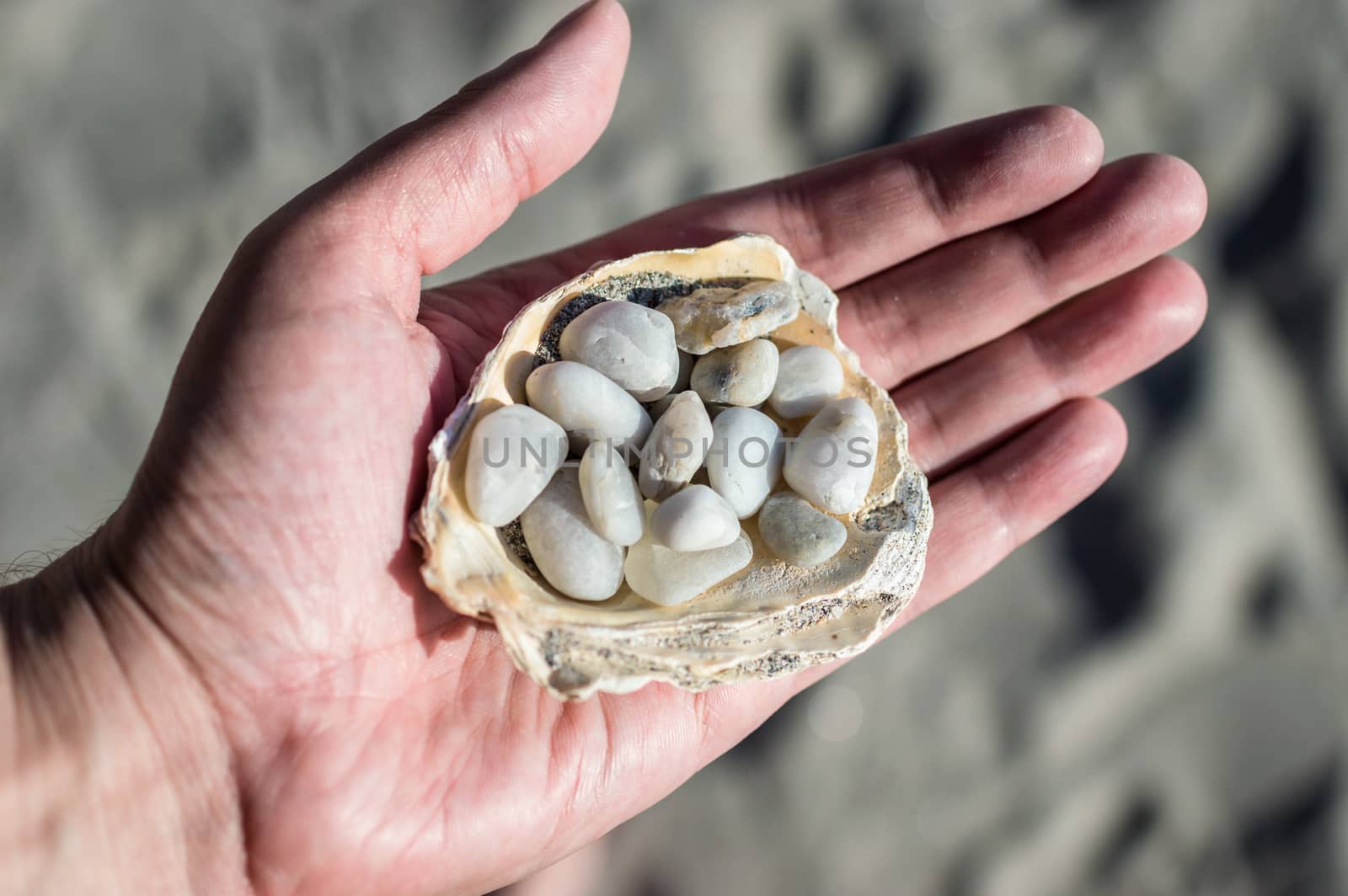Pebbles in the shell on a hand