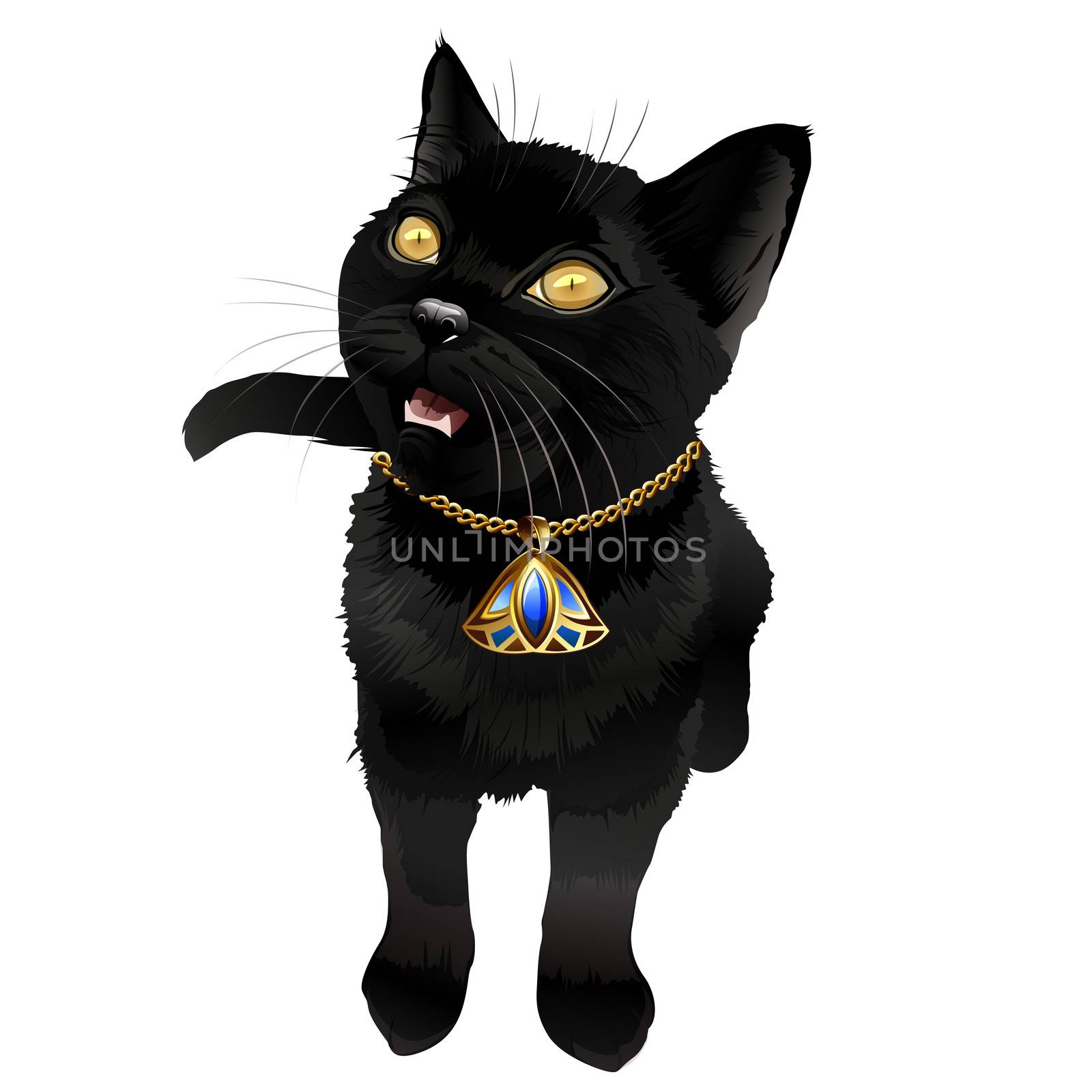 black cat with jewelry. Isolated  illustration