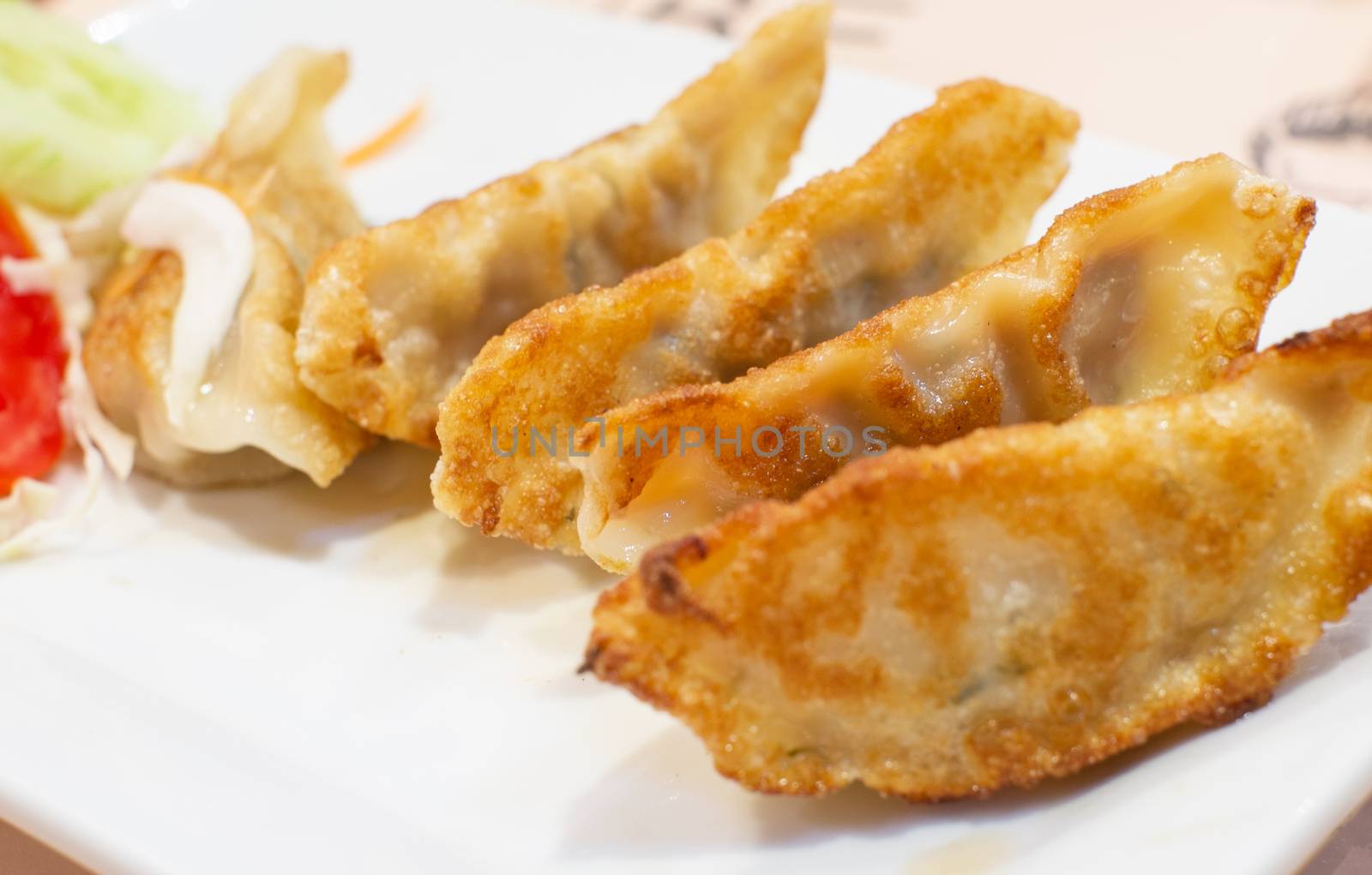 gyoza by baworn47