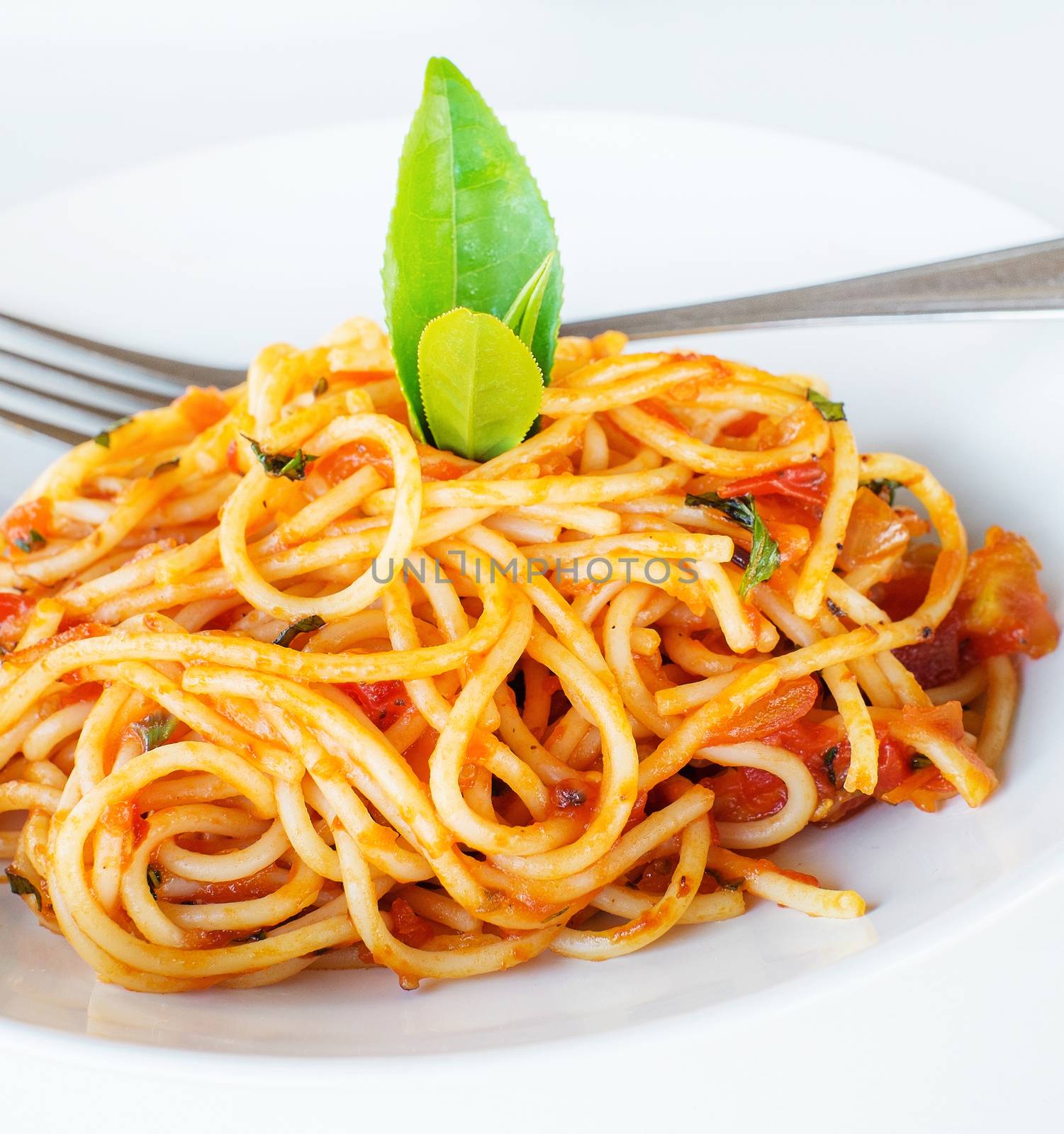 spaghetti with tomato sauce