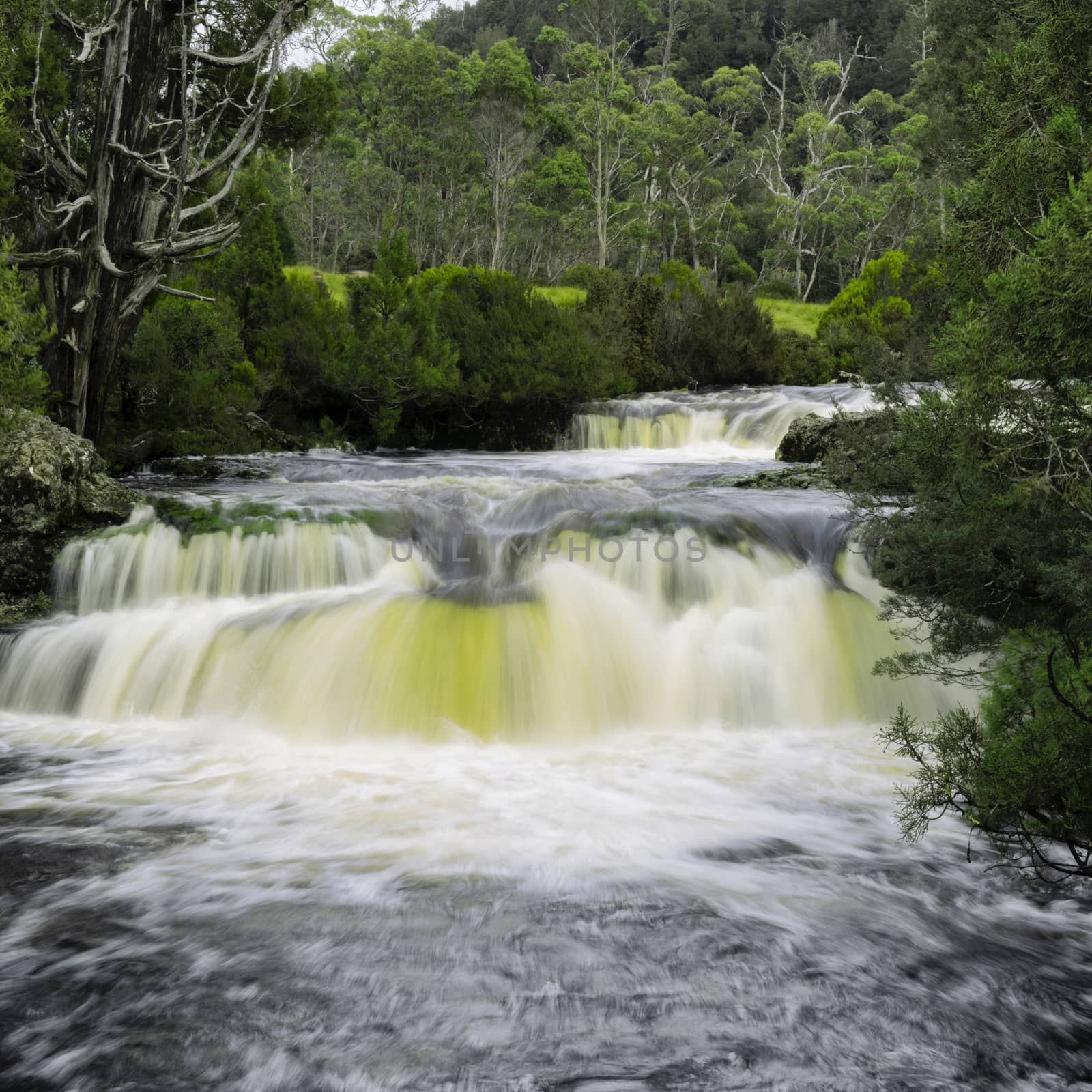 Waterfall in Cradle Mountain, Tasmania, Australia.