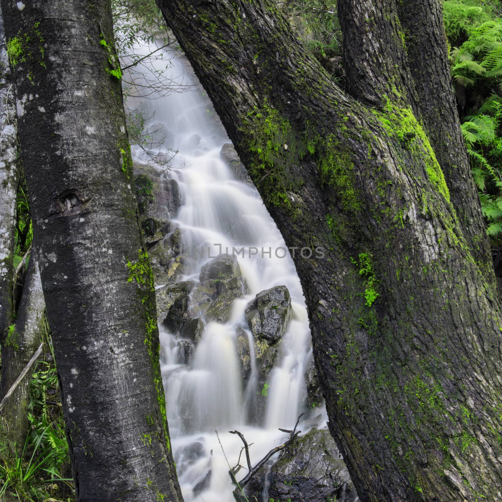 Waterfall in Cradle Mountain, Tasmania, Australia.