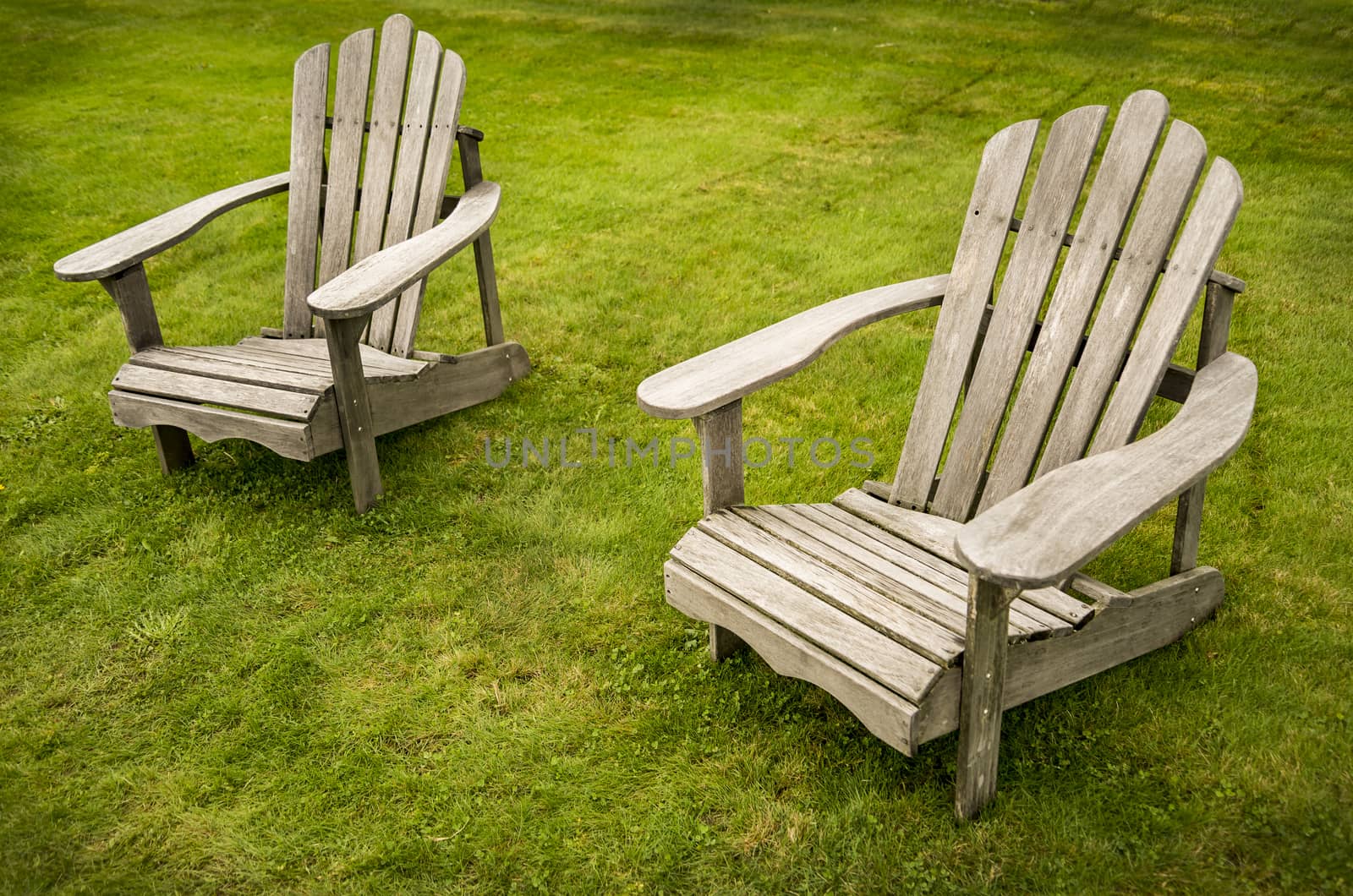 two adirondack chairs on the grass in Maine, USA