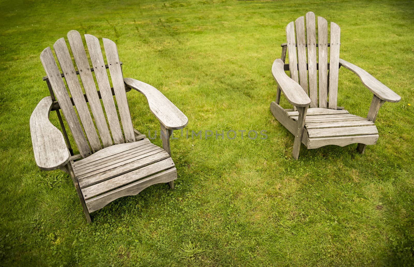 two adirondack chairs on the grass in Maine, USA