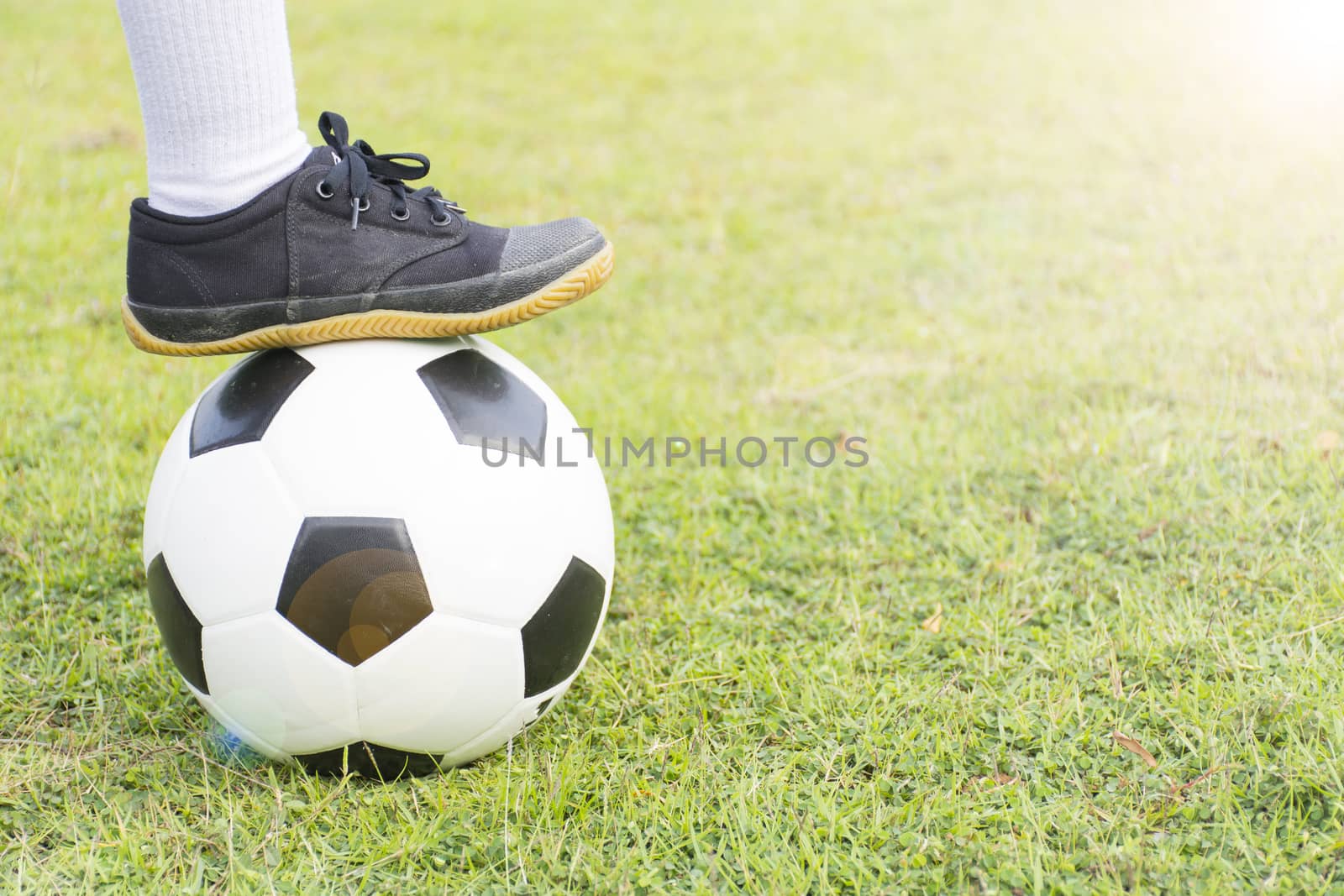 Boy with his foot on top a soccer ball on green grass with sunshine in the evening.Close up1