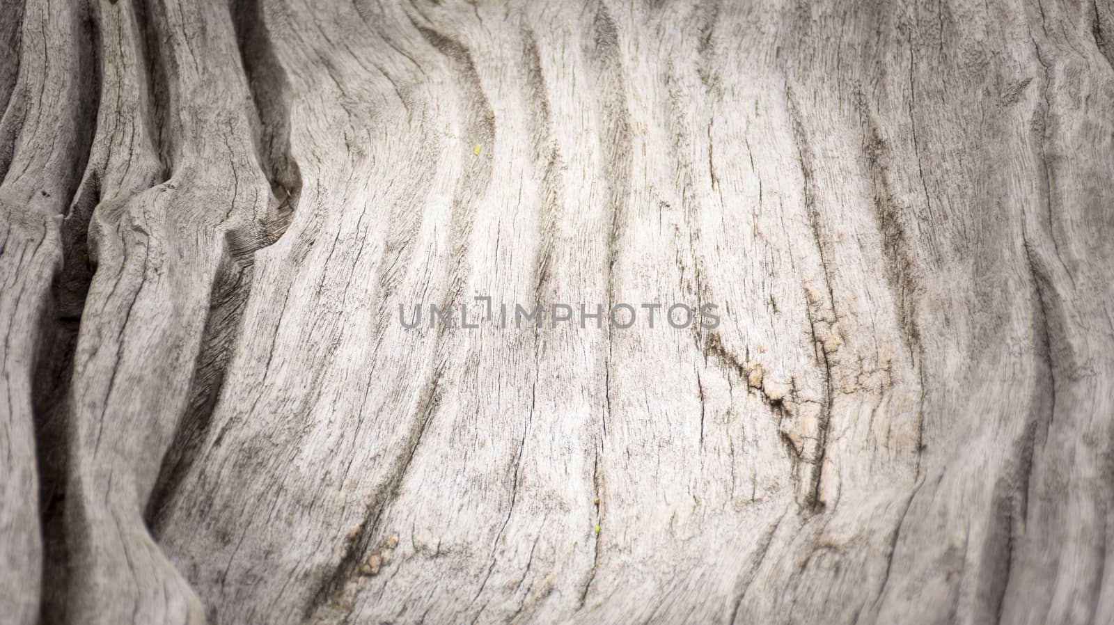 Wooden background or texture of wood.Top view and Close up1