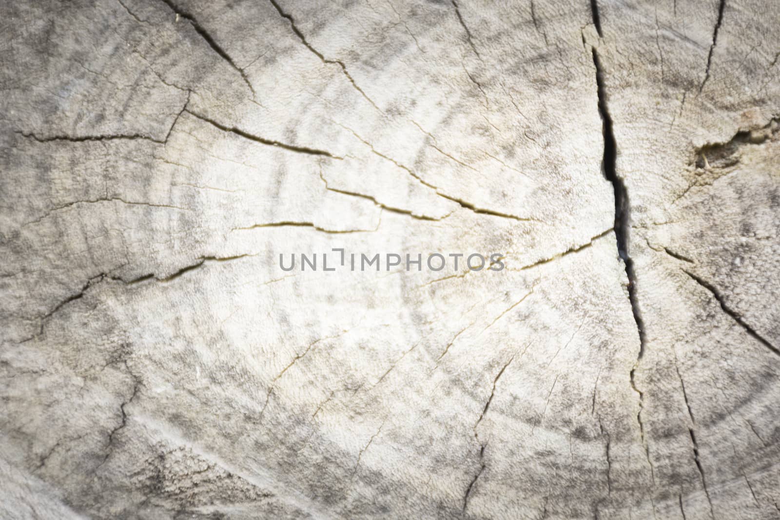 Wooden background or texture of wood.Top view and Close up