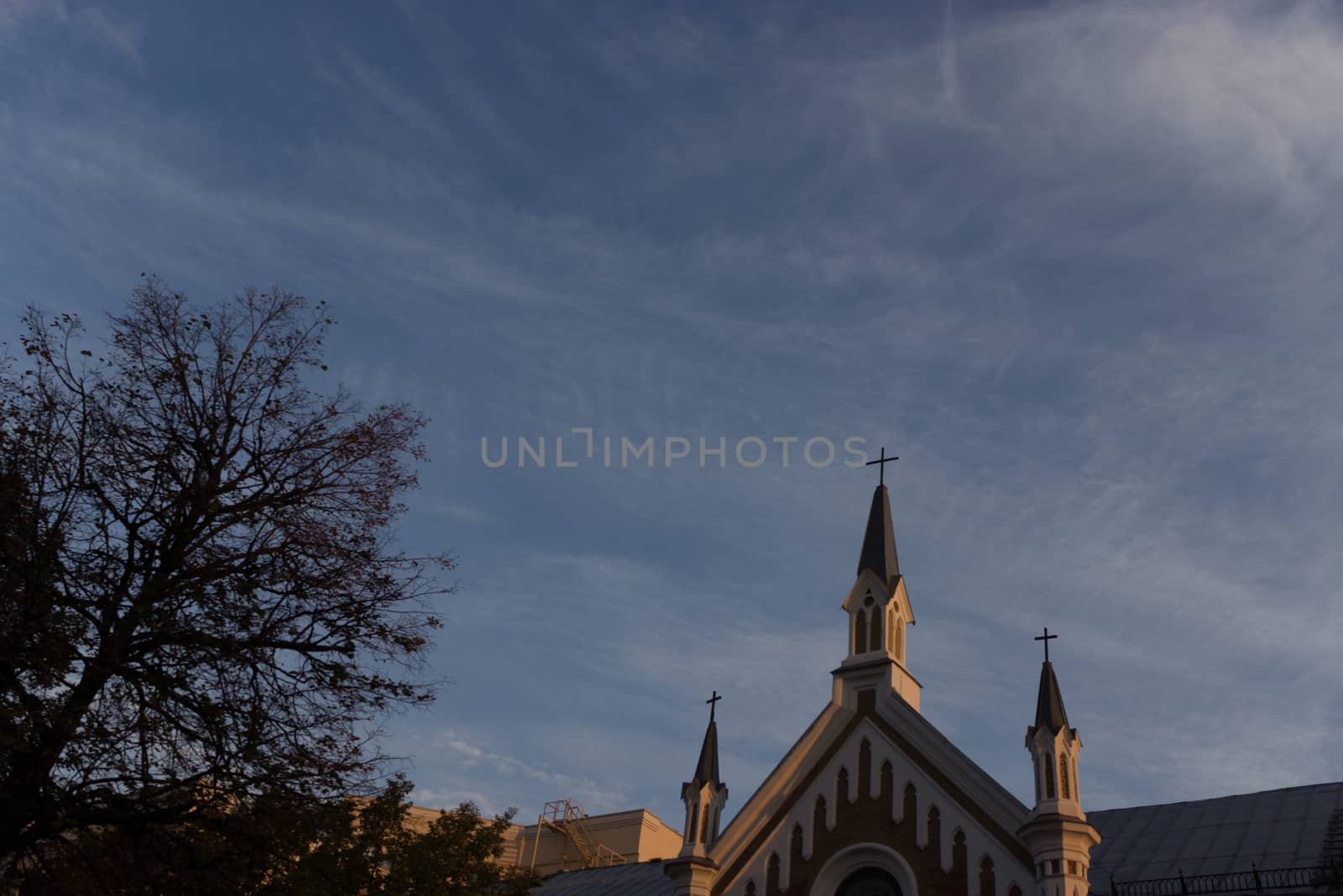 church and tree on the background of blue sky