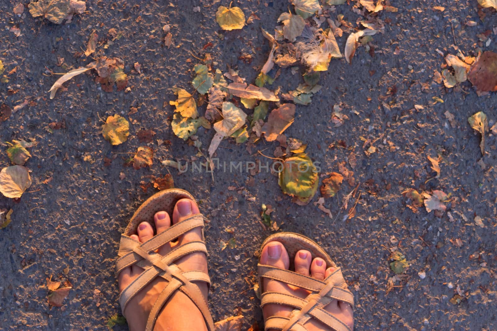 feet in sandals on asphalt, autumn leaves