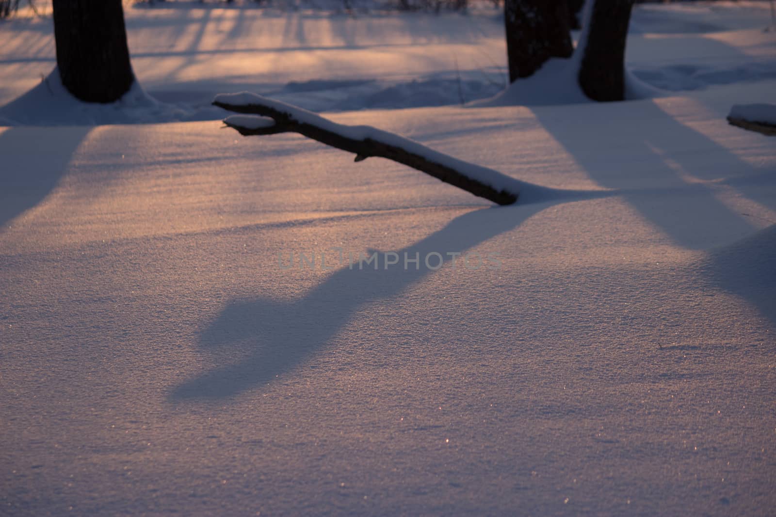 winter landscape by liwei12