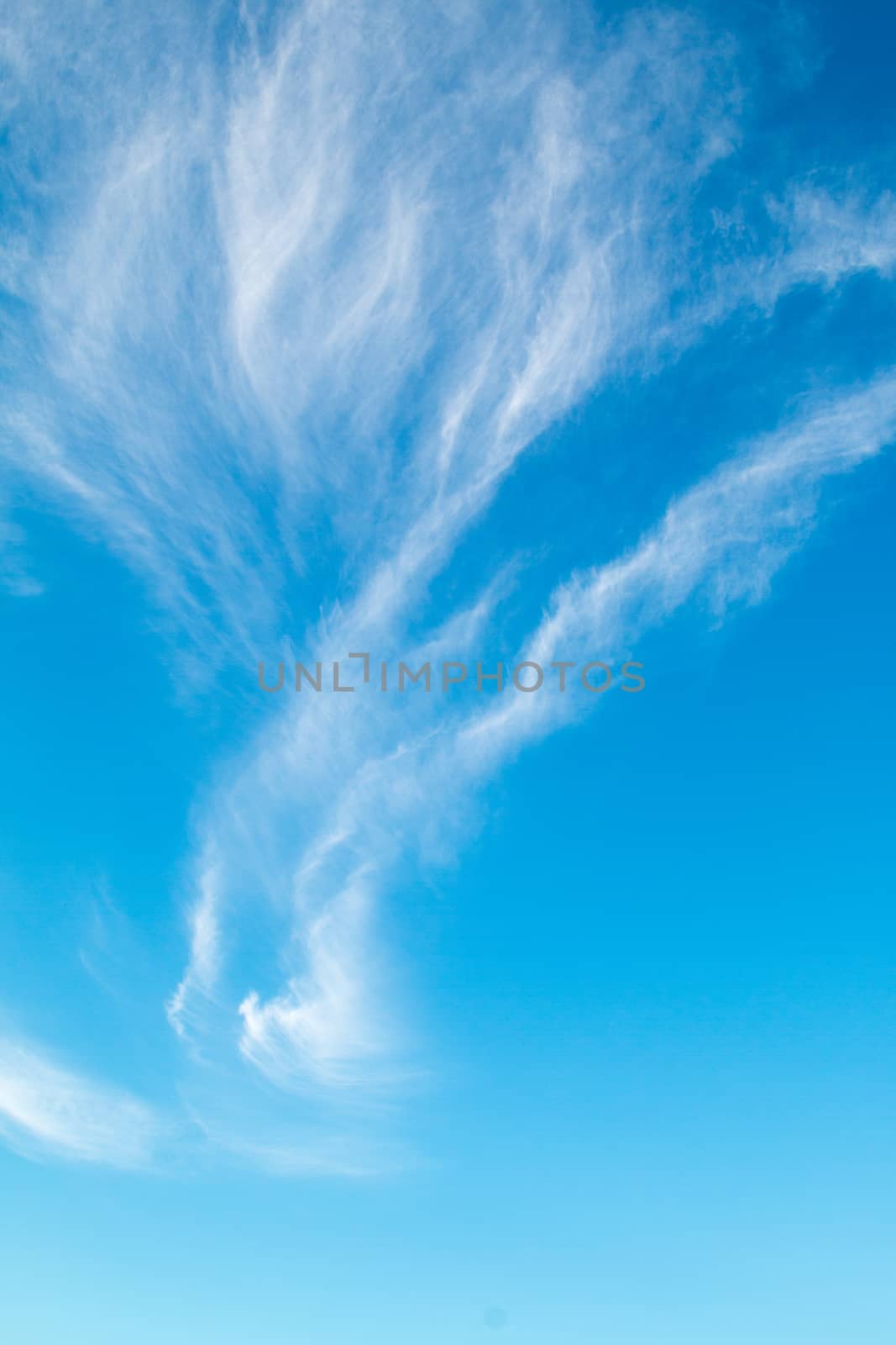 Beautiful blue sky and cloud