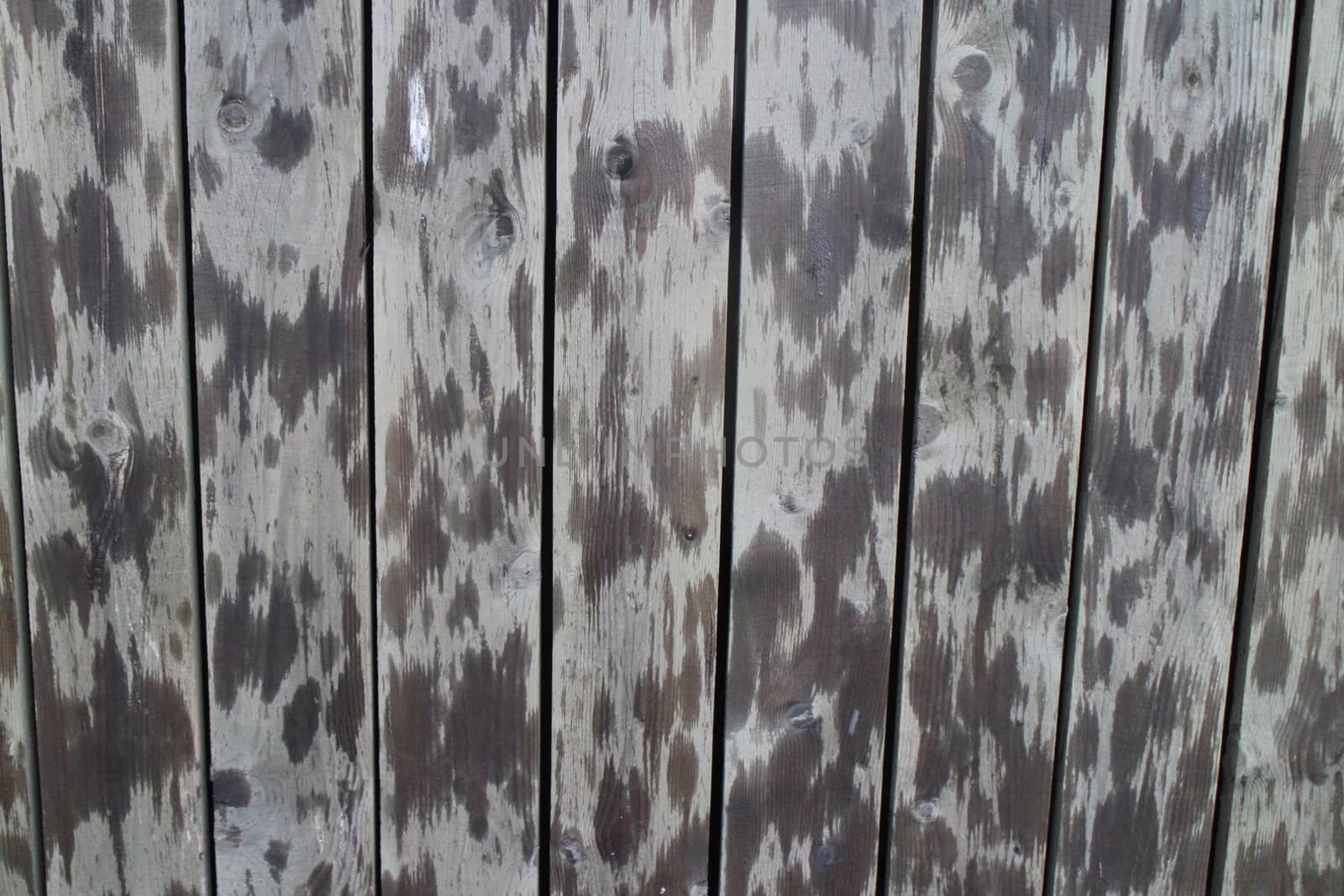 spotted wooden fence abstract background