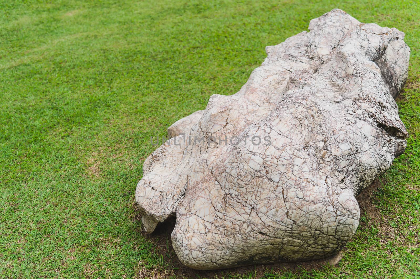 stone on green grass in the garden by luckyfim