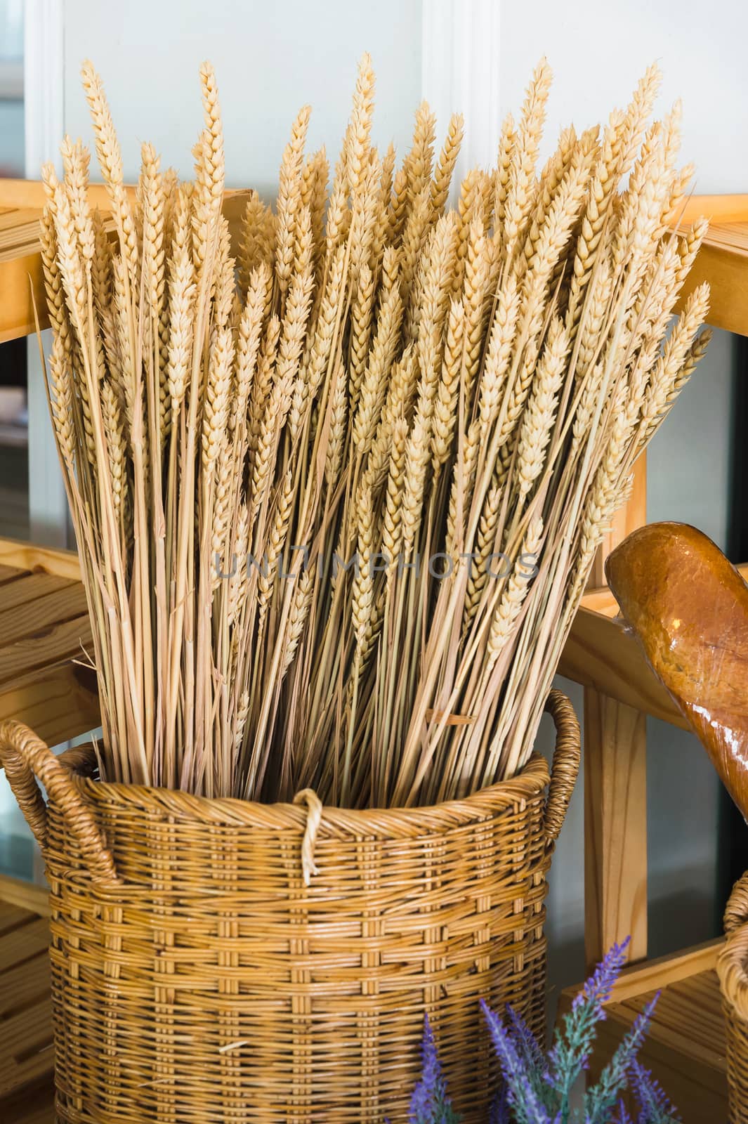 ears of wheat in basket