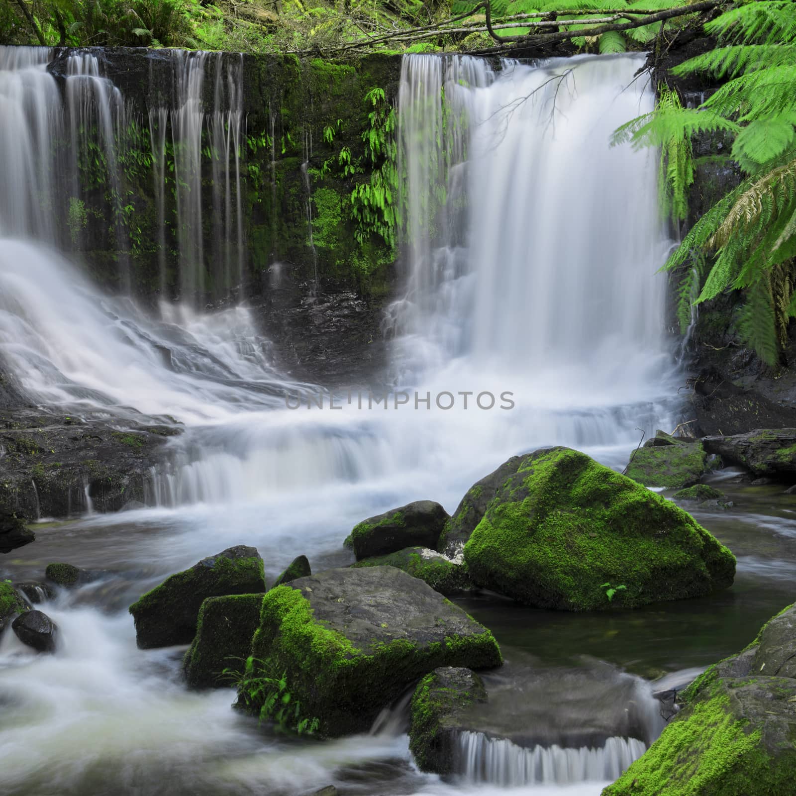 The beautiful Horseshoe Falls after heavy rain fall in Mount Field National Park, Tasmania, Australia.