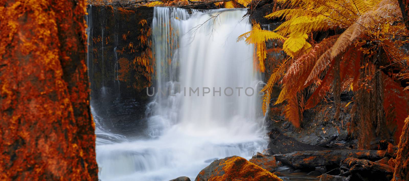 Horseshoe Falls in Mount Field National Park. by artistrobd