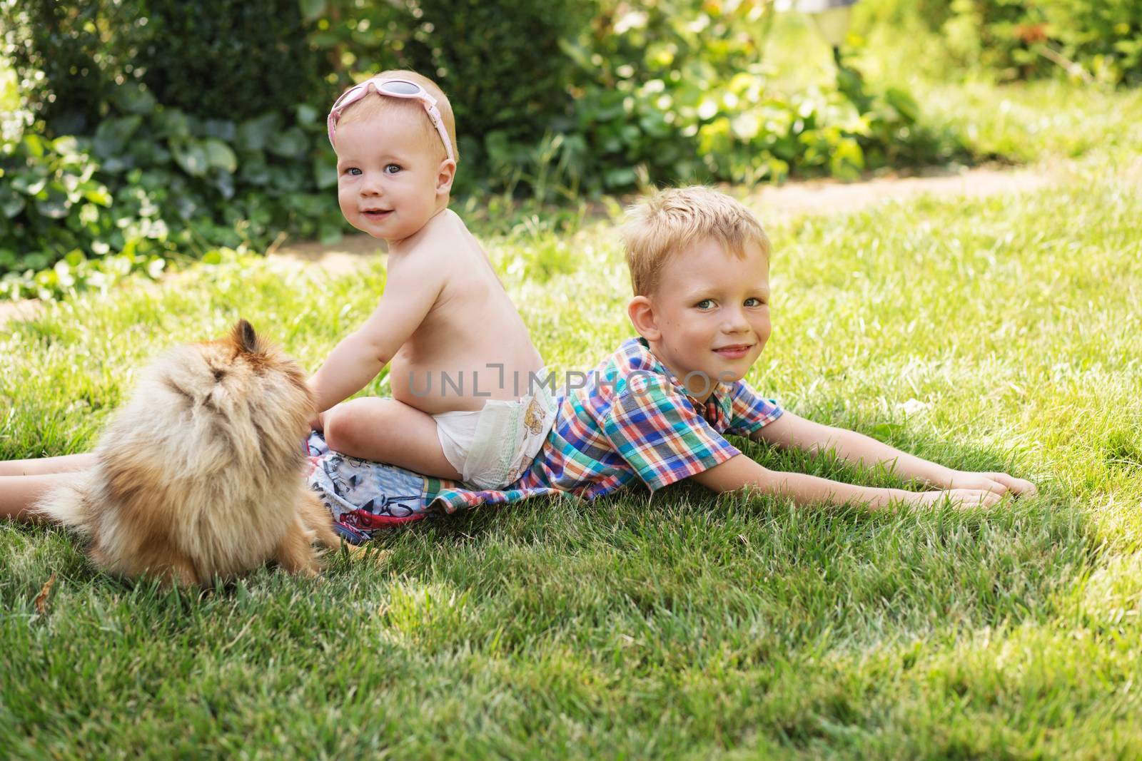 Little kids playing with dog Pomeranian spitz on the green grass outdoors. Children and puppy