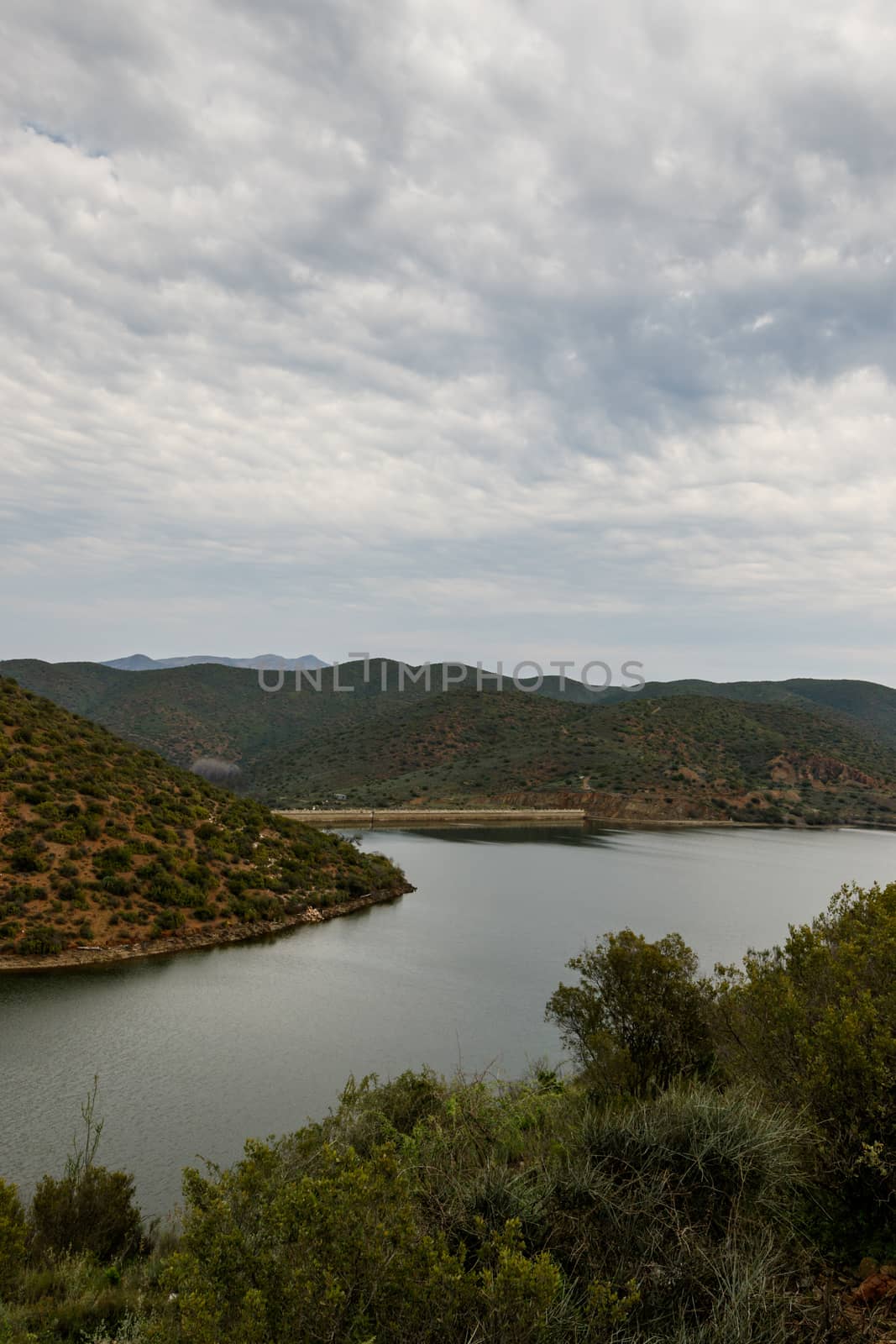 Portrait - Cloudy and moody view from a bush of the dam at Calitzdorp.